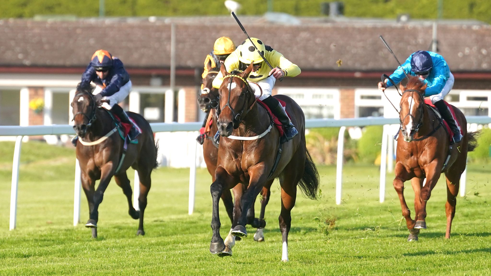 Today on Sky Sports Racing: Remarquee and Rogue Millennium feature in ...