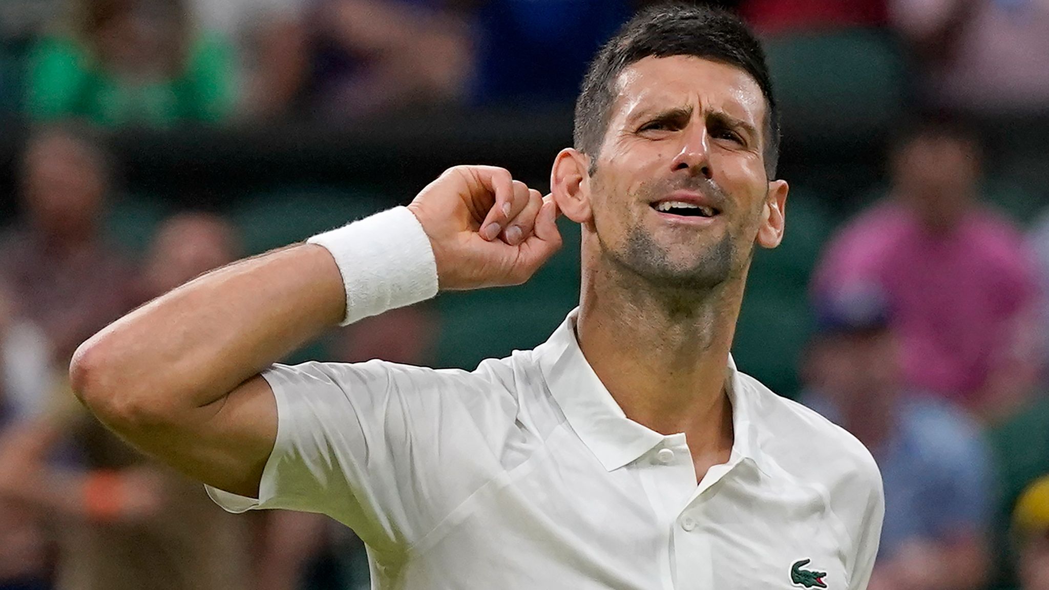 Wimbledon Novak Djokovic brushes aside Stan Wawrinka while Carlos Alcaraz is given stern workout Tennis News Sky Sports