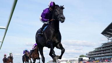 Breeders' Cup decision for King Of Steel to come later in week