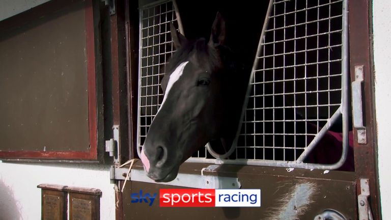 Auguste Rodin lives in the same box at Ballydoyle as former stars Duke Of Marmalade, Dylan Thomas, St Nicholas Abbey and Rip Van Winkle