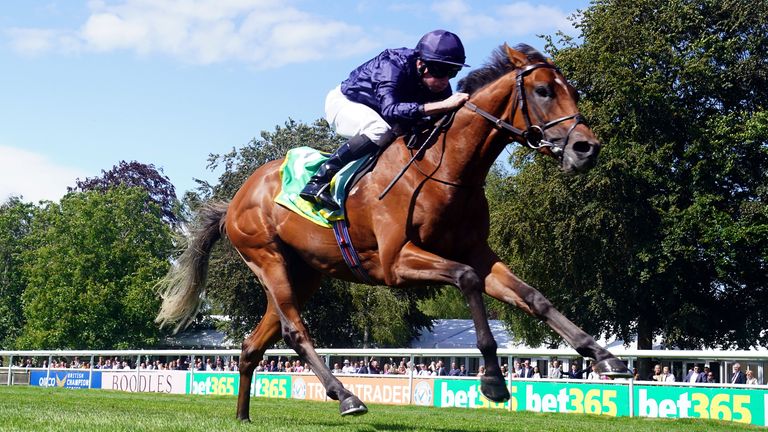 City Of Troy has shot to the top of next year's 2000 Guineas and Derby markets