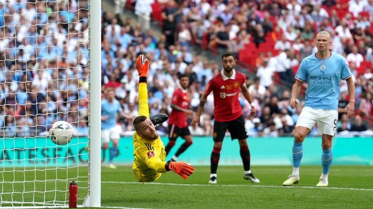 David De Gea was criticised for his performance in the FA Cup final 