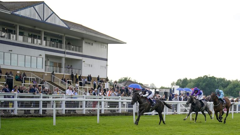 Jump racing will return to Windsor in 2024