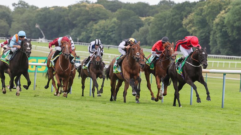 Wootton&#39;s Sun races to victory in the Old Newton Cup at Haydock