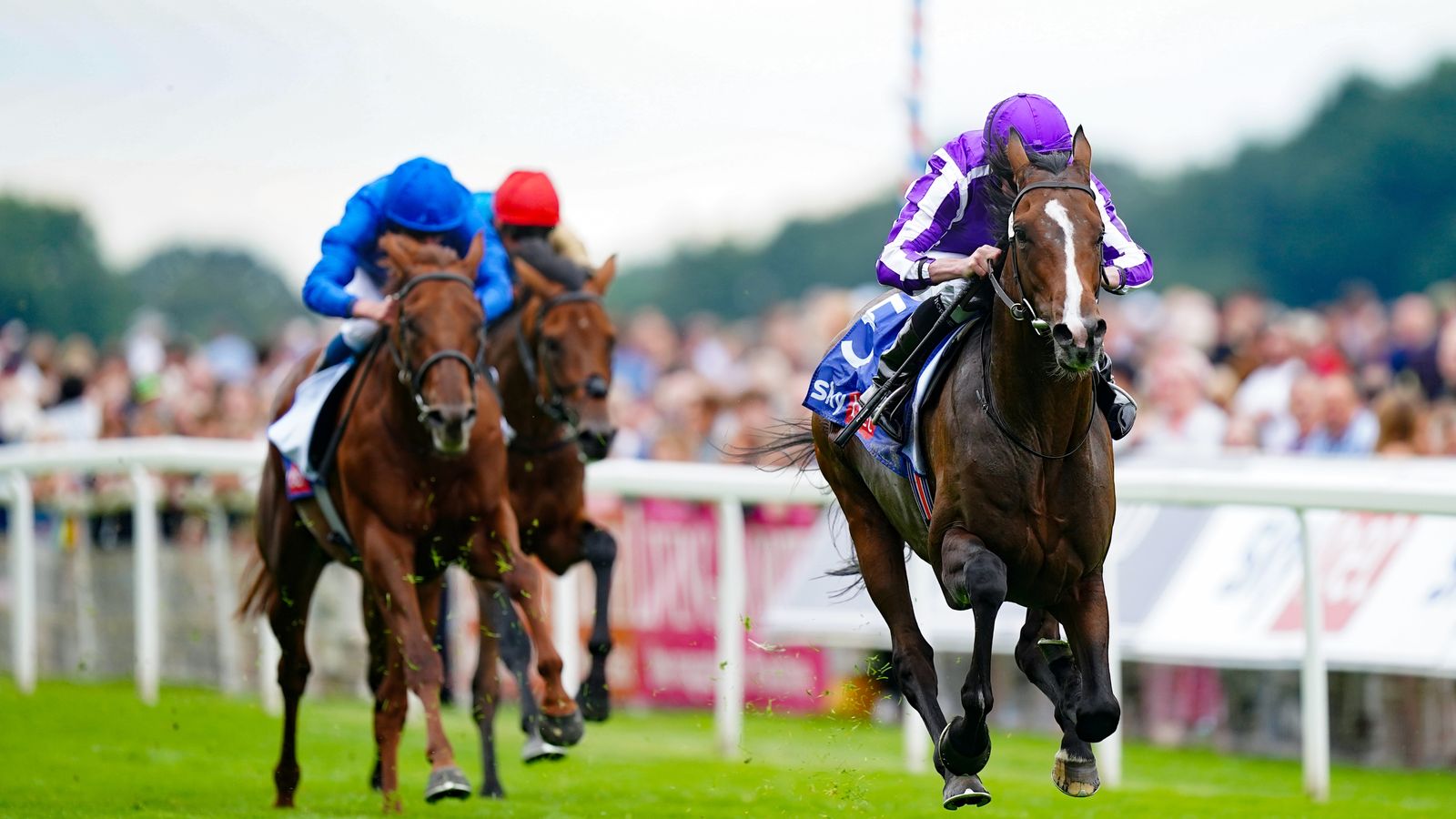 St Leger: The Ultimate Runner Guide And Big Race Verdict For Saturday's ...