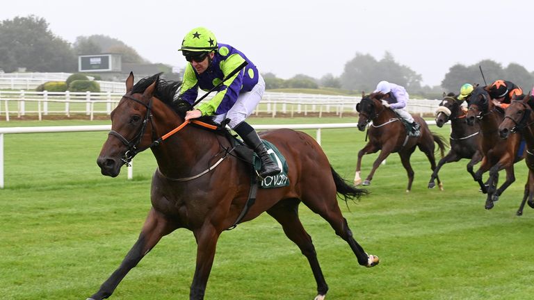 Bid For Chester and Gary Carroll won for owners Crowsnest Syndicate and trainer Michael Mulvany