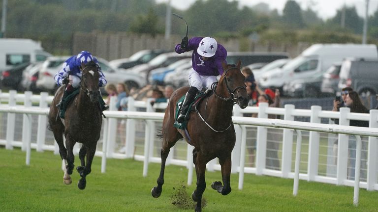 Kevin Stott is all action to get Bucenero Fuerte home in front at the Curragh