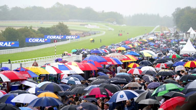 Goodwood called off the final day's racing after the Steward's Cup due to 'unsafe ground'