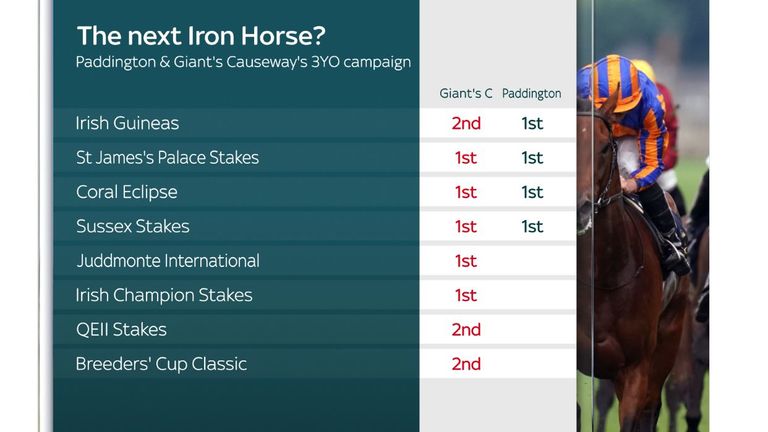 How Paddington&#39;s three-year-old campaign compares to fellow Aidan O&#39;Brien legend Giant&#39;s Causeway