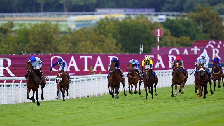 The Goodwood Cup field give chase to runaway winner Quickthorn 