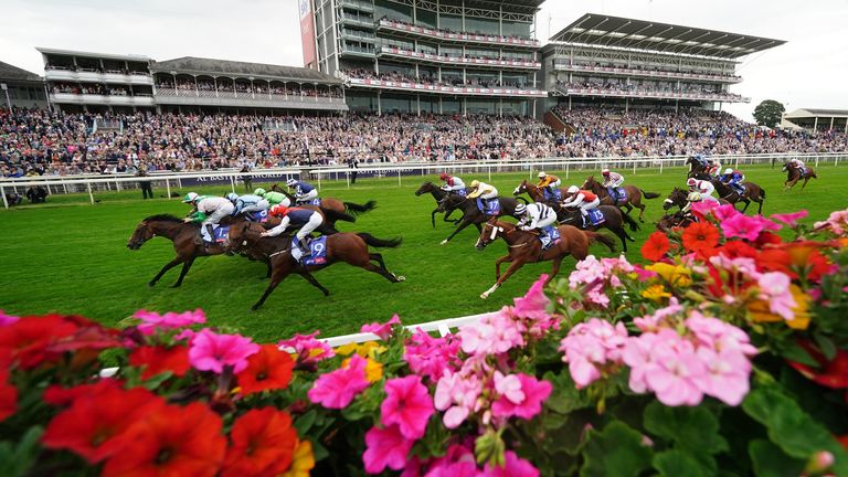 Equilateral (pink and green) wins the Sky Bet And Symphony Group Handicap at York