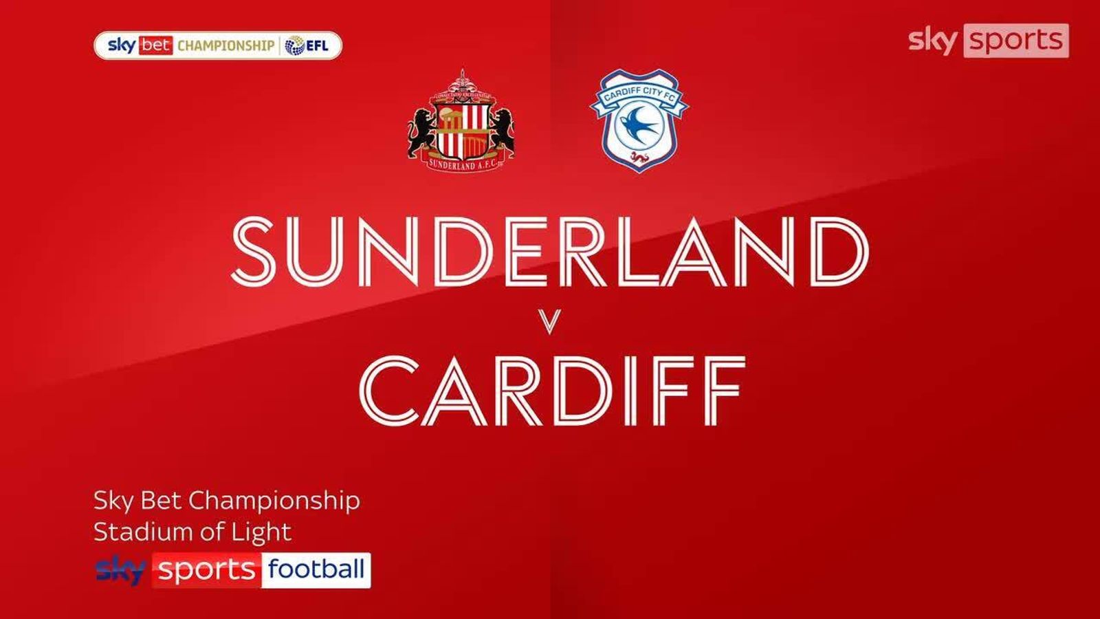 Sunderland 0-1 Cardiff City: Jak Alnwick and Mark McGuinness star as ...