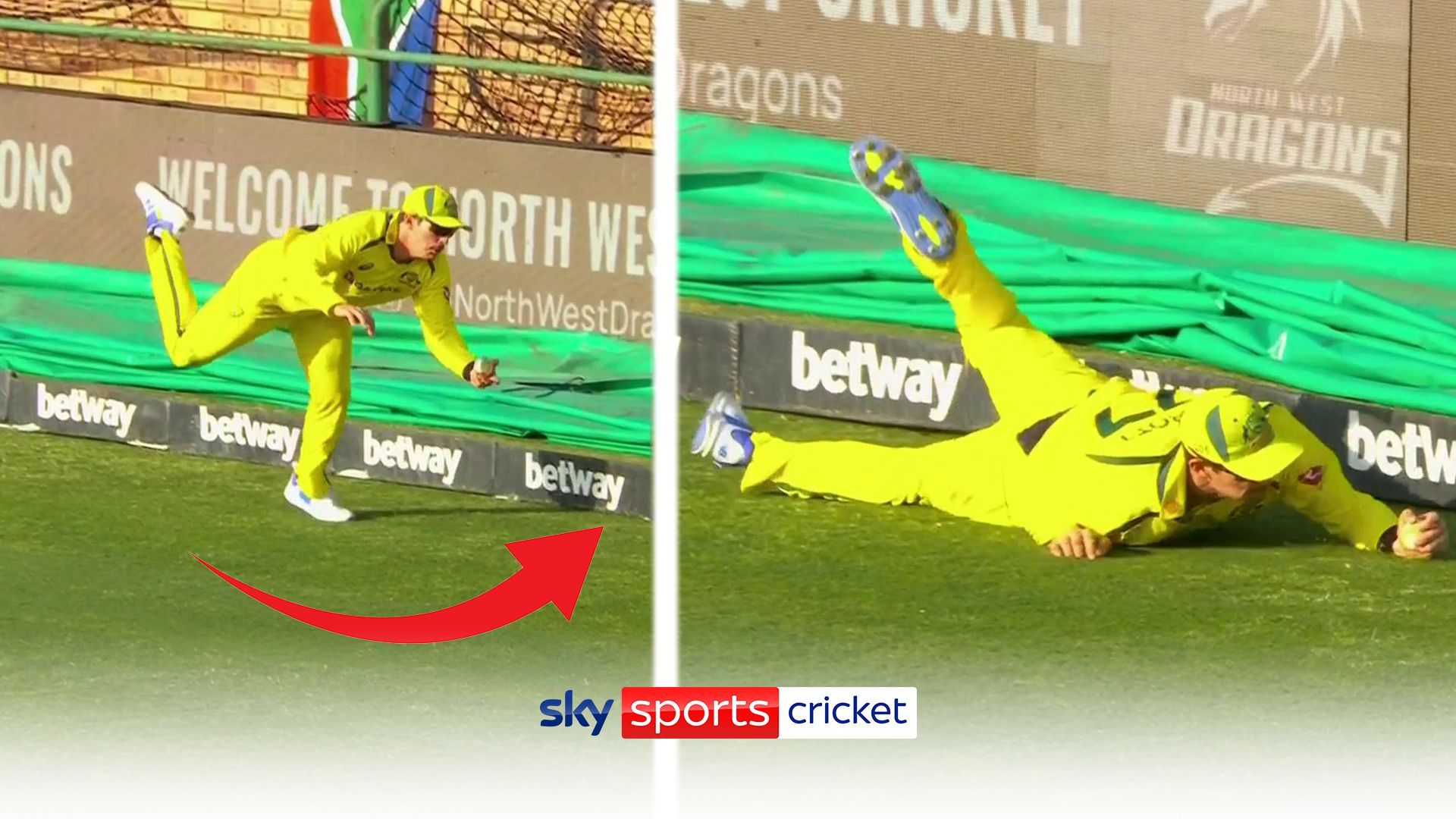 'One of the best you'll ever see!' | Abbott takes stunning one-handed catch