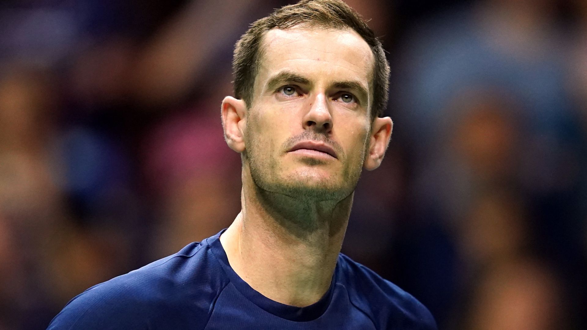 Murray withdraws from GB team for Davis Cup finals due to injury