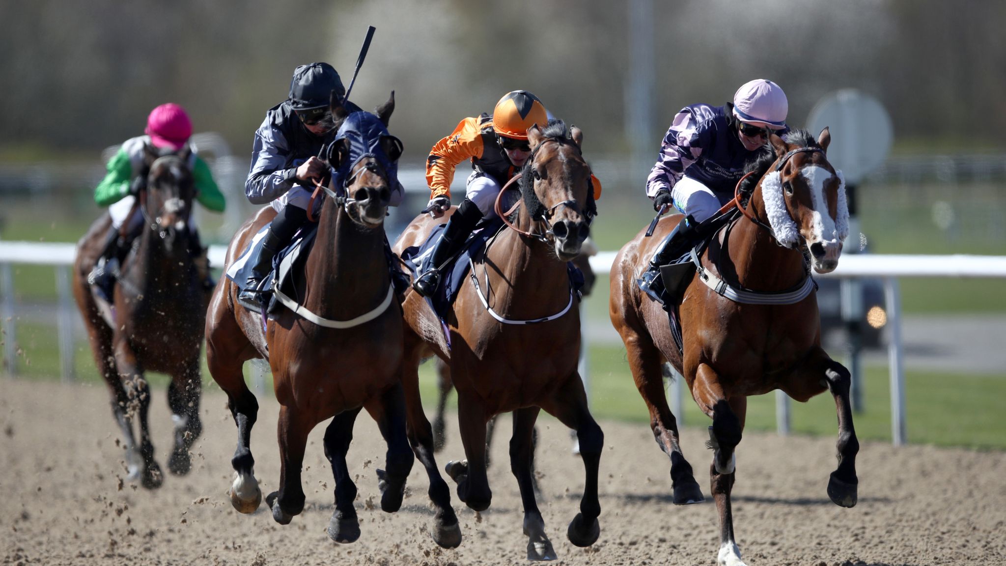 Friday racing tips: Five horses to follow at Ascot's September Racing ...