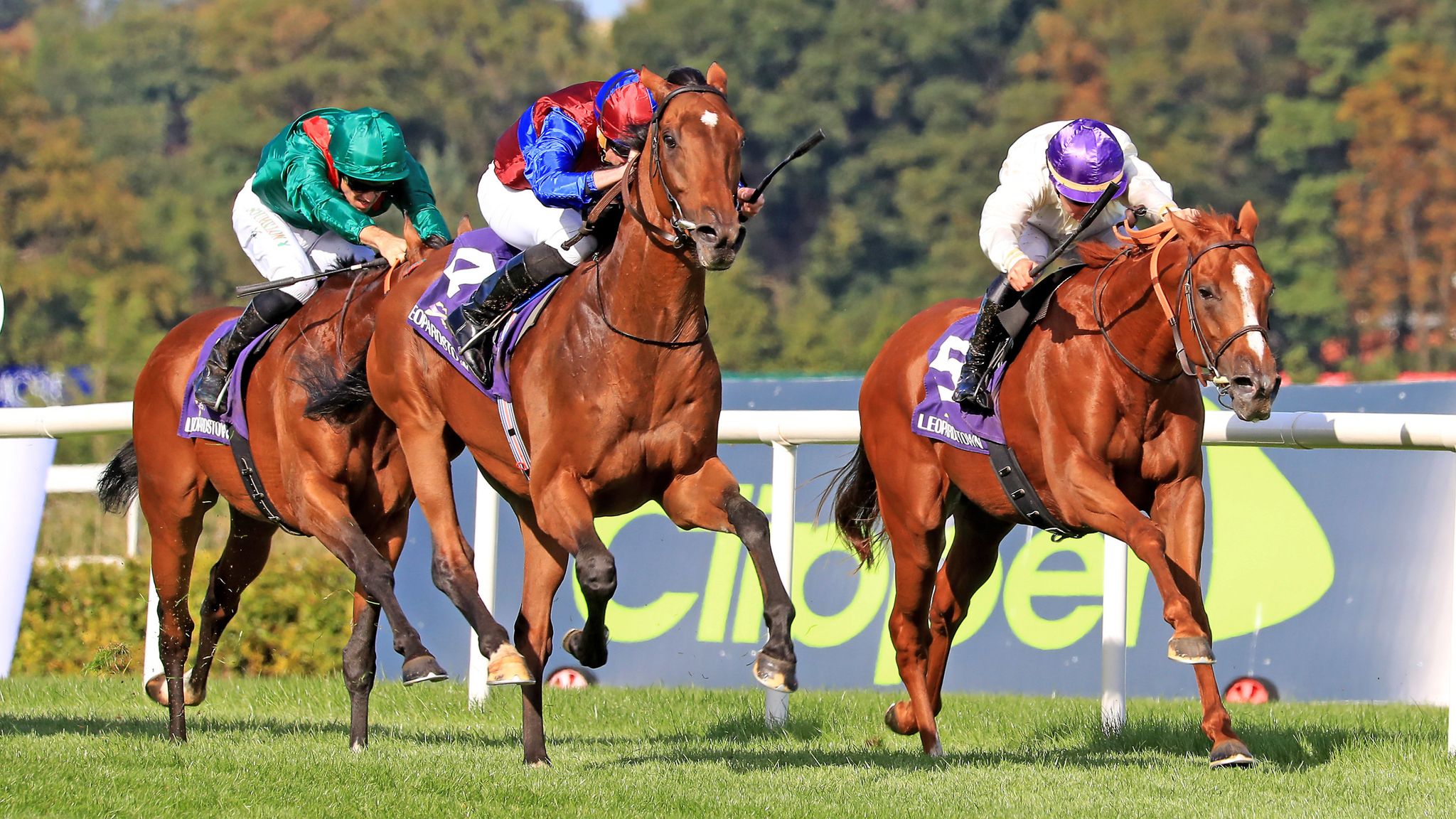 Prix De L'Arc De Triomphe: Rating Ace Impact's Key Challengers For ...