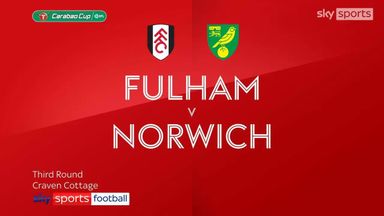 Fulham 2-1 Norwich