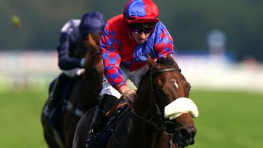 Marquand hoping fairytale continues for Big Evs at the Breeders' Cup