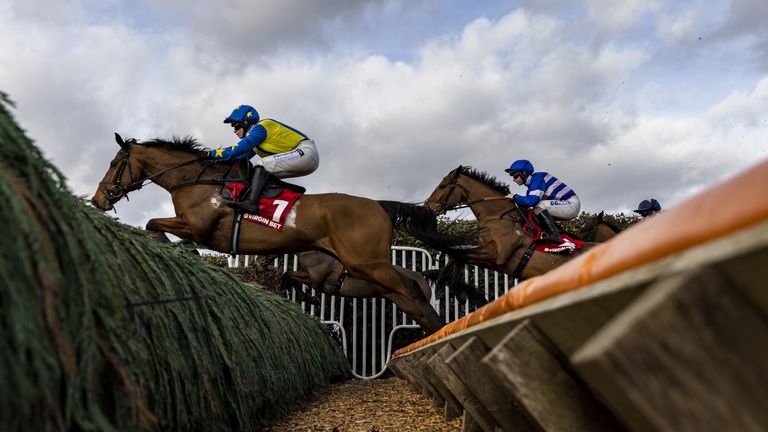 Hatcher in action over fences for the Dan Skelton team