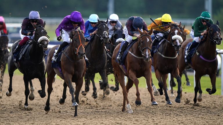 Minnetonka (purple) takes race two on round five of Racing League at Wolverhampton
