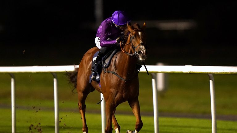 Diamond Bay goes from the front to win in the Racing League at Wolverhampton