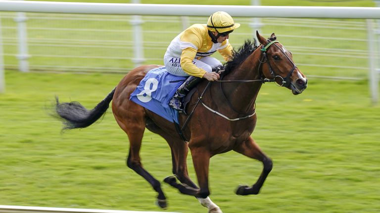 Wobwobwob wins at York under Tom Marquand