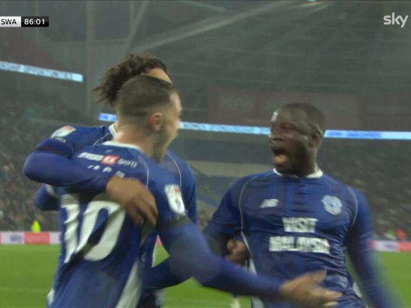 Cardiff City 2-0 Swansea: Ollie Tanner helps end Bluebirds derby