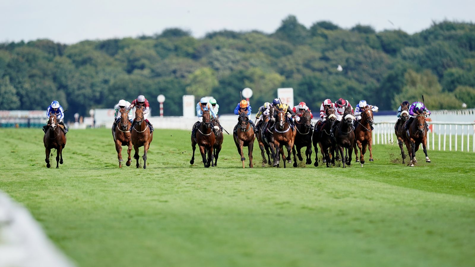 Today on Sky Sports Racing: Doncaster’s November Handicap the feature live on Saturday | Racing News