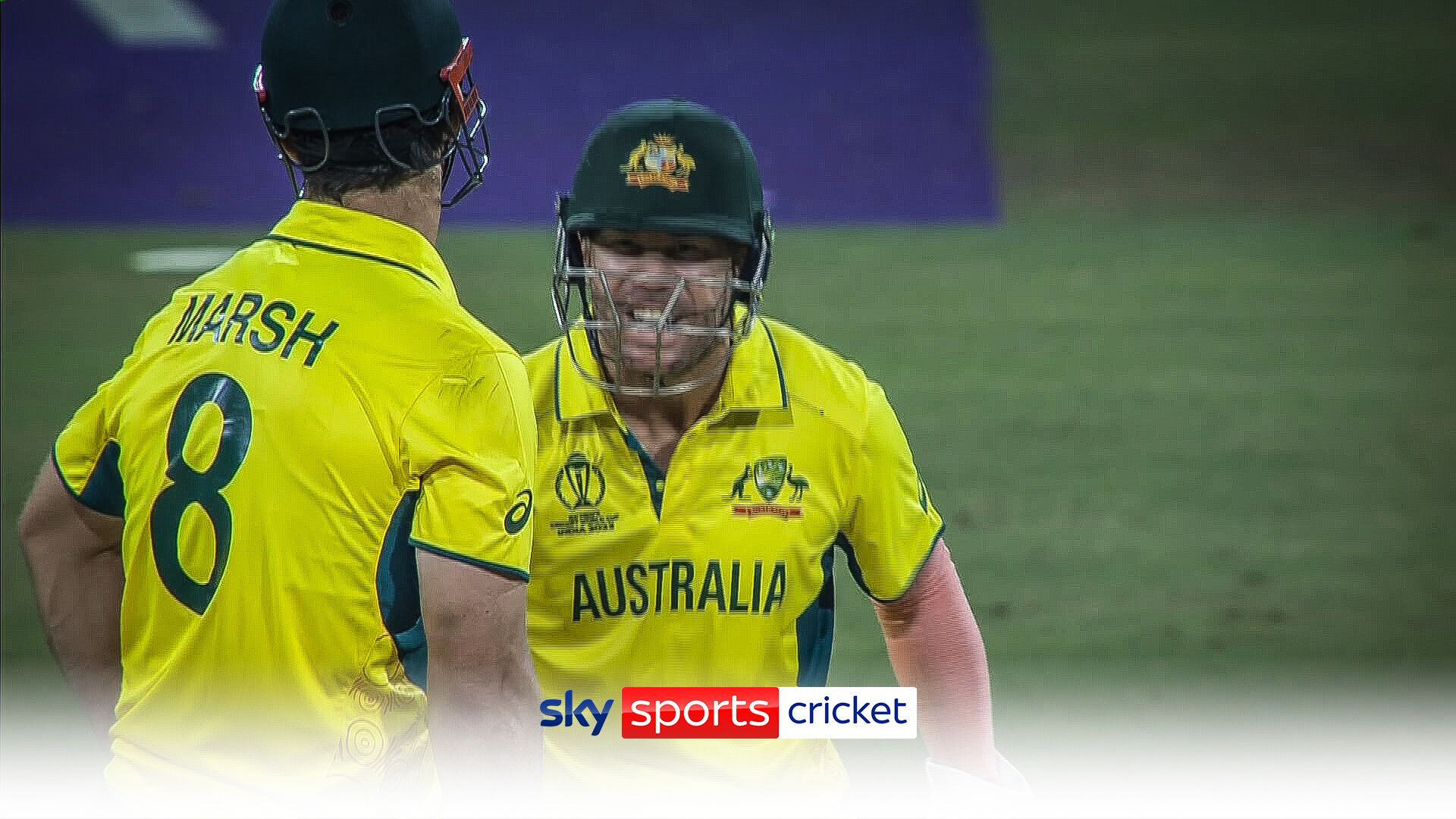 Furious Warner slams bat after losing lbw review