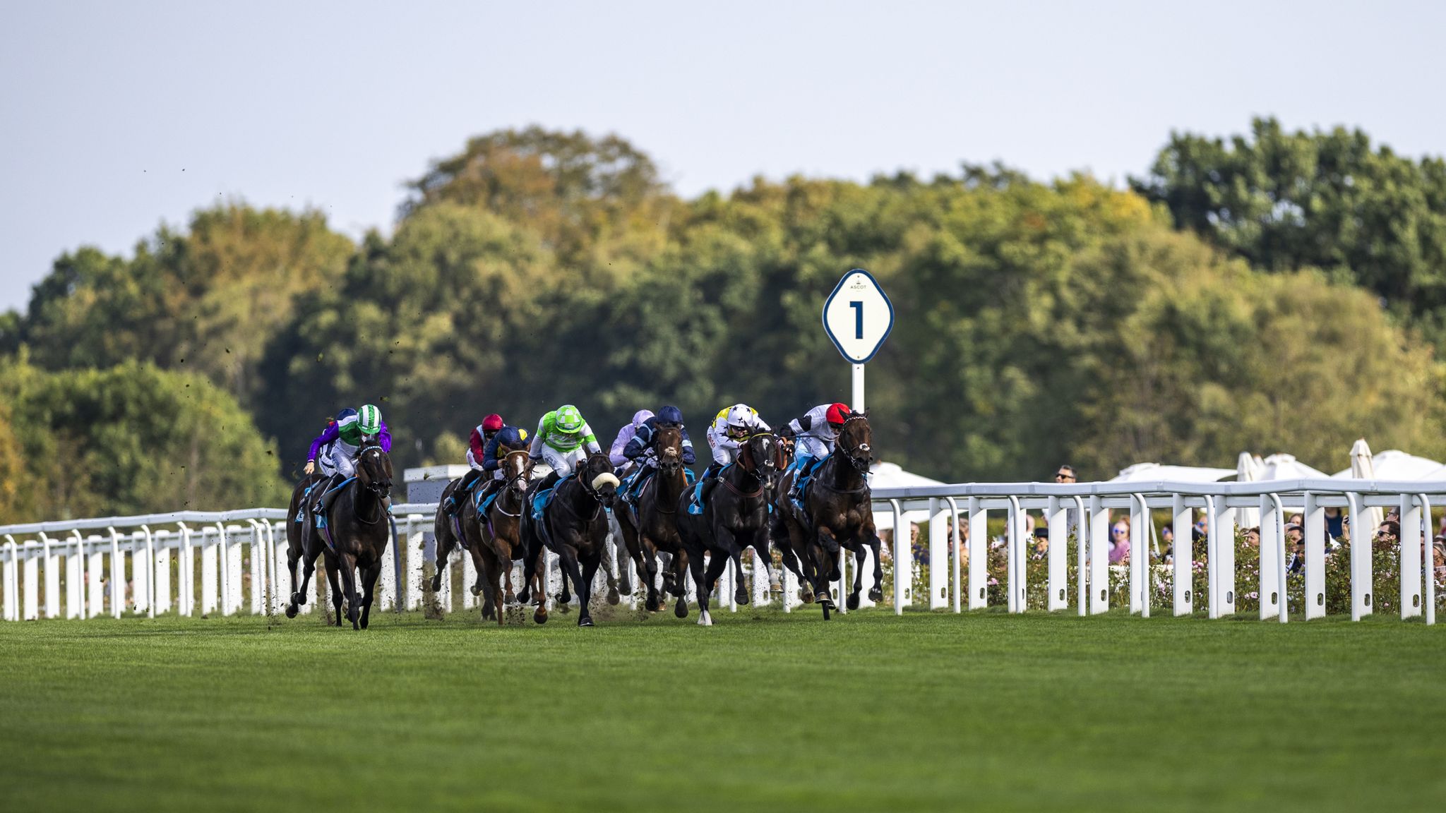 Today on Sky Sports Racing: Trueshan and Coltrane clash in the Sagaro ...