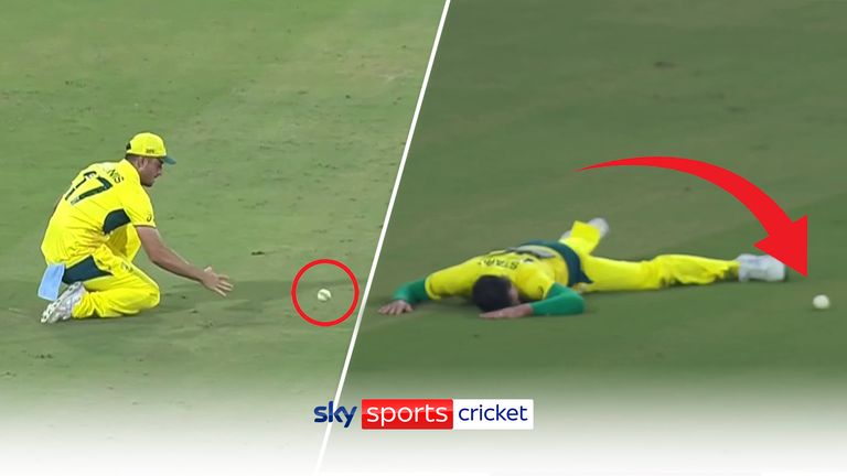 Cricket Missed catches 