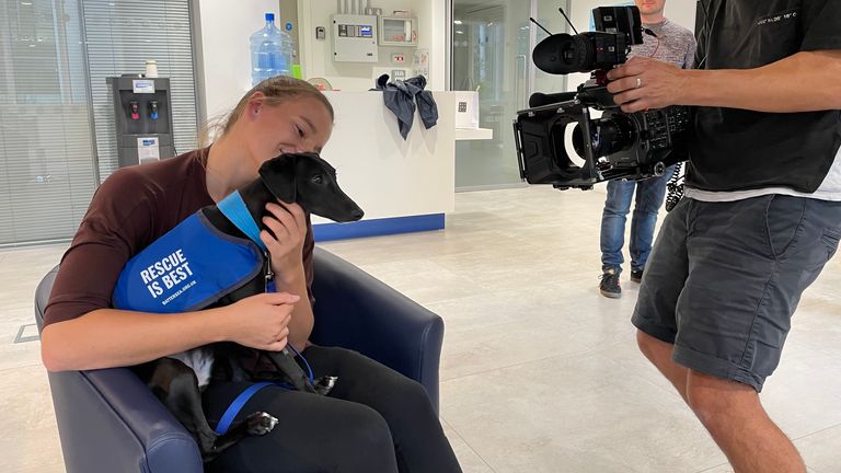 Fox enjoyed a day at Battersea Dogs' Home while she recovers from an ACL injury.