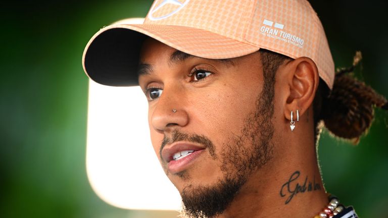 Lewis Hamilton believes other drivers might have been punished had their cars been checked over