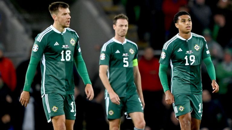 Northern Ireland players react during the loss against Slovenia