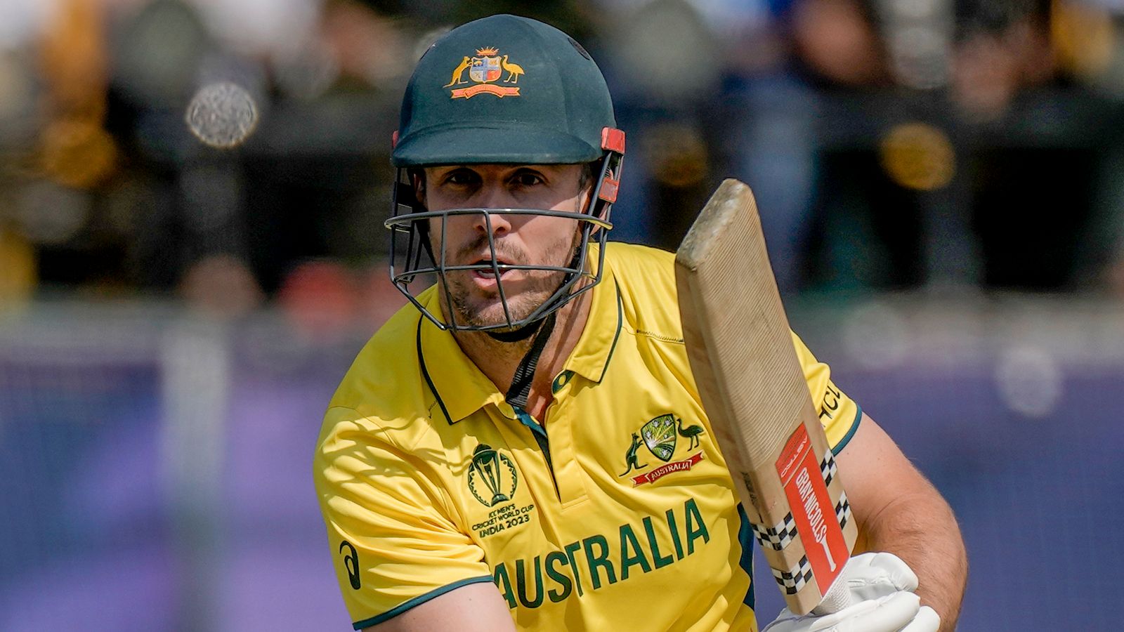 Cricket World Cup: Australia's Mitchell Marsh returns home for personal ...