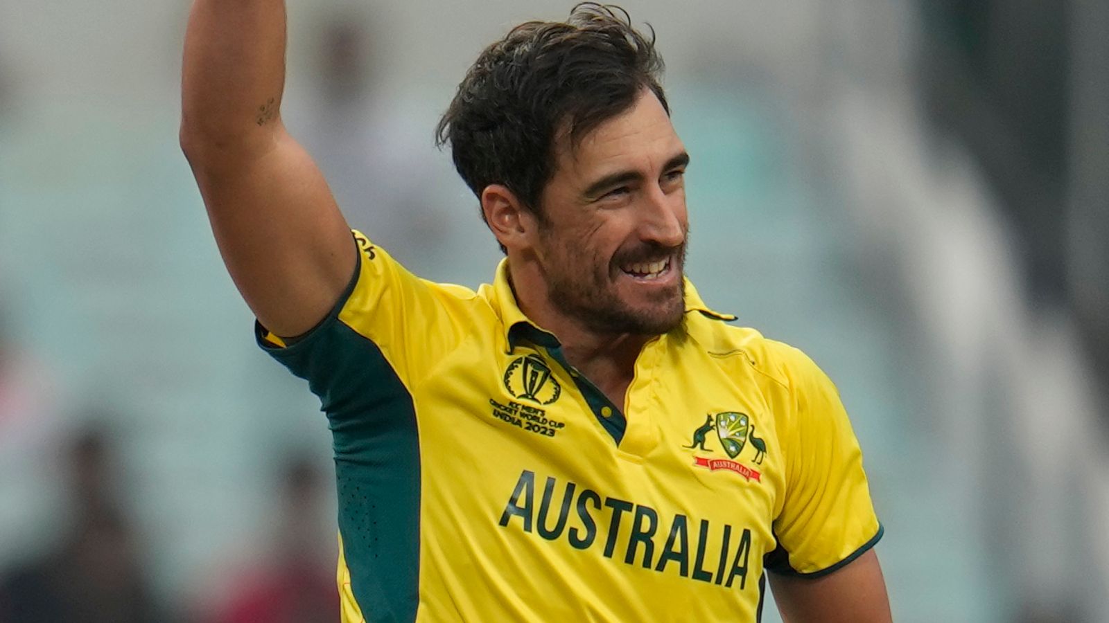 Cricket World Cup: Mitchell Starc relishing 'great spectacle' against India after Australia reach final | Cricket News | Sky Sports