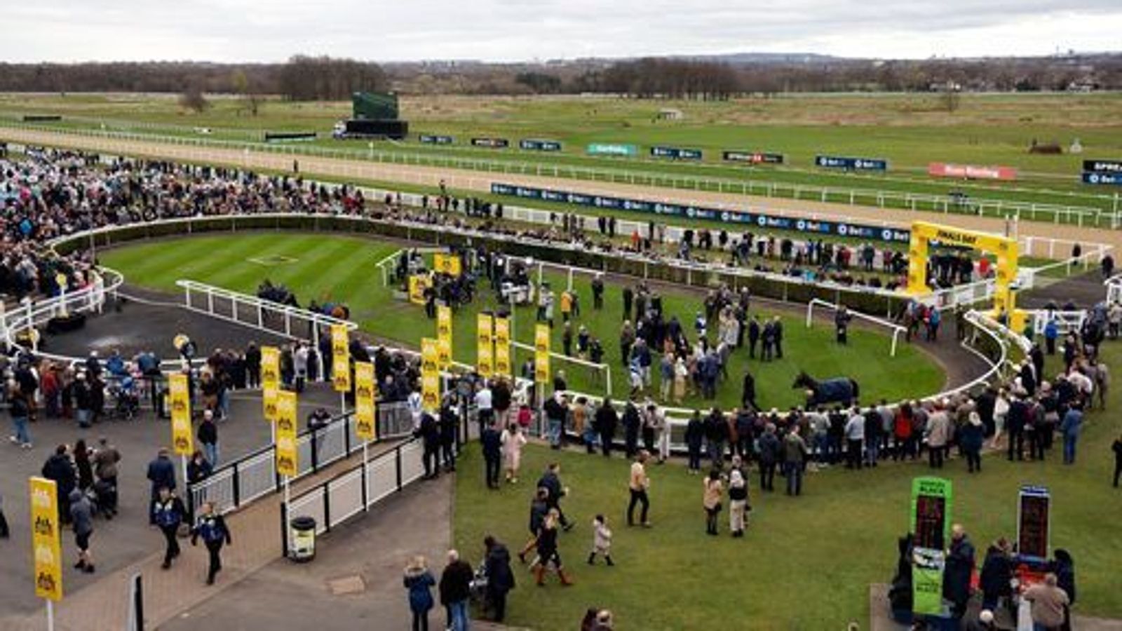 Newcastle and Newbury put down frost covers in bid to beat weather