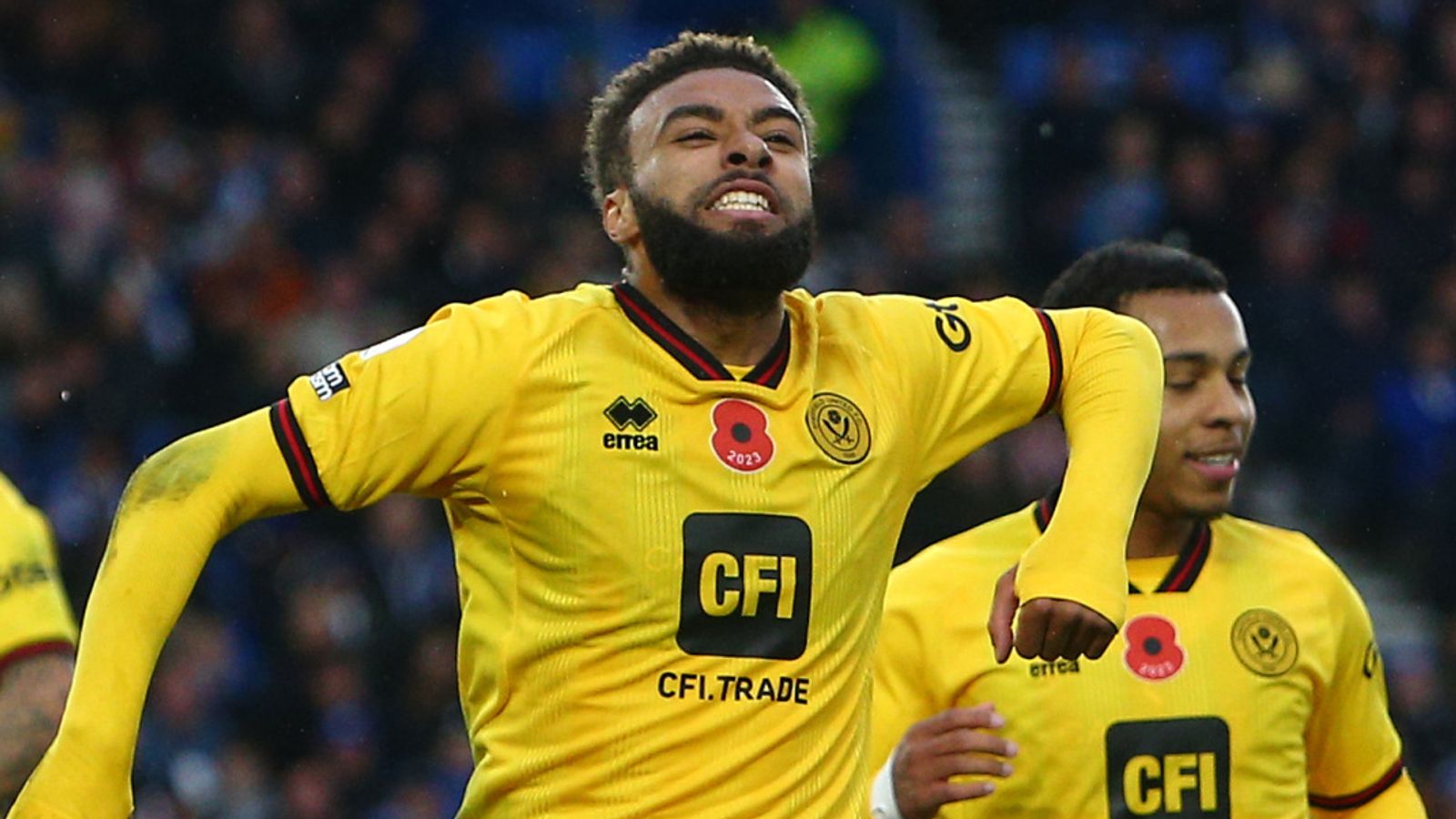 Brighton 11 Sheff Utd highlights Football News Sky Sports