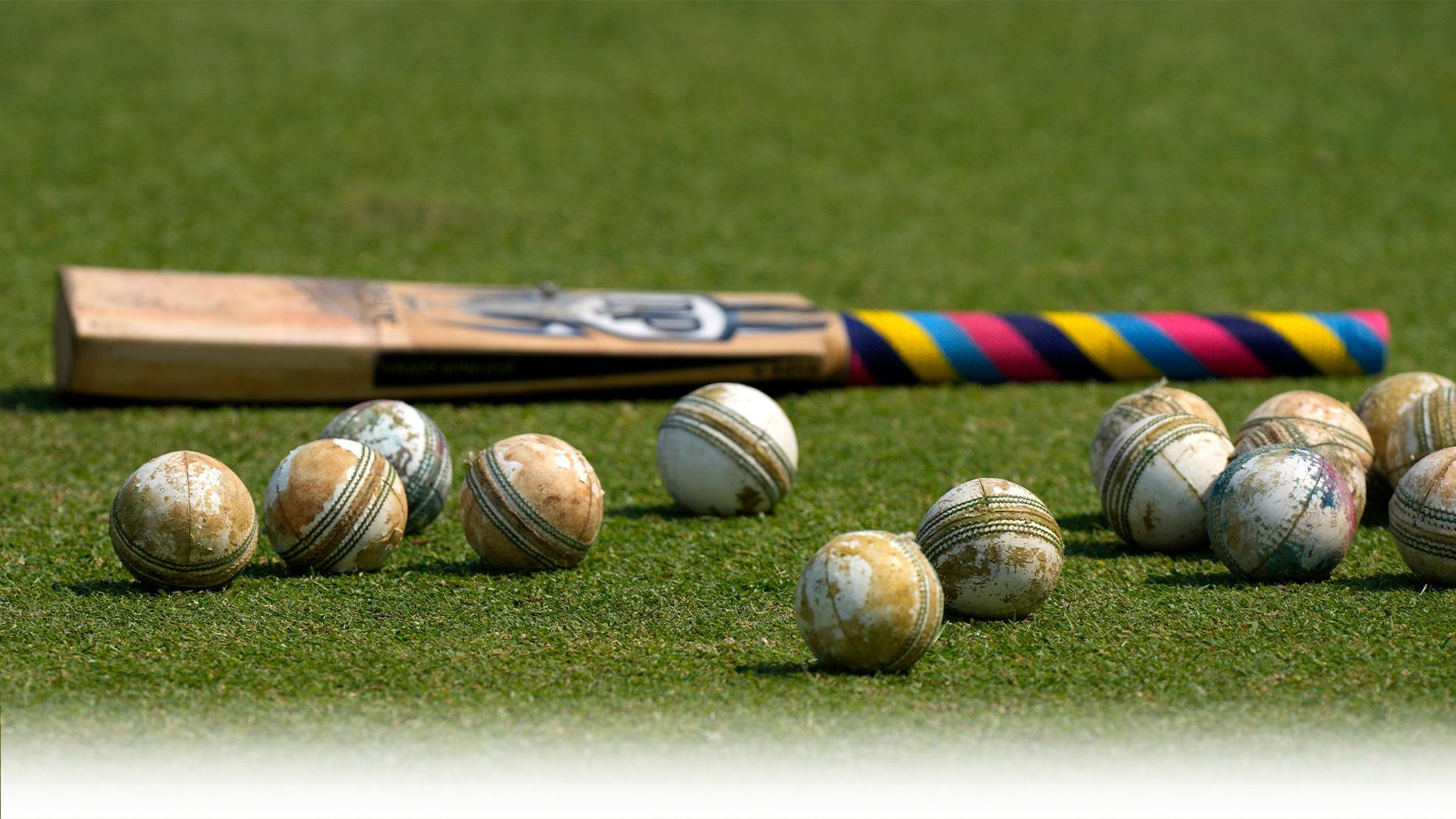 Transgender cricketer retires after ICC ruling