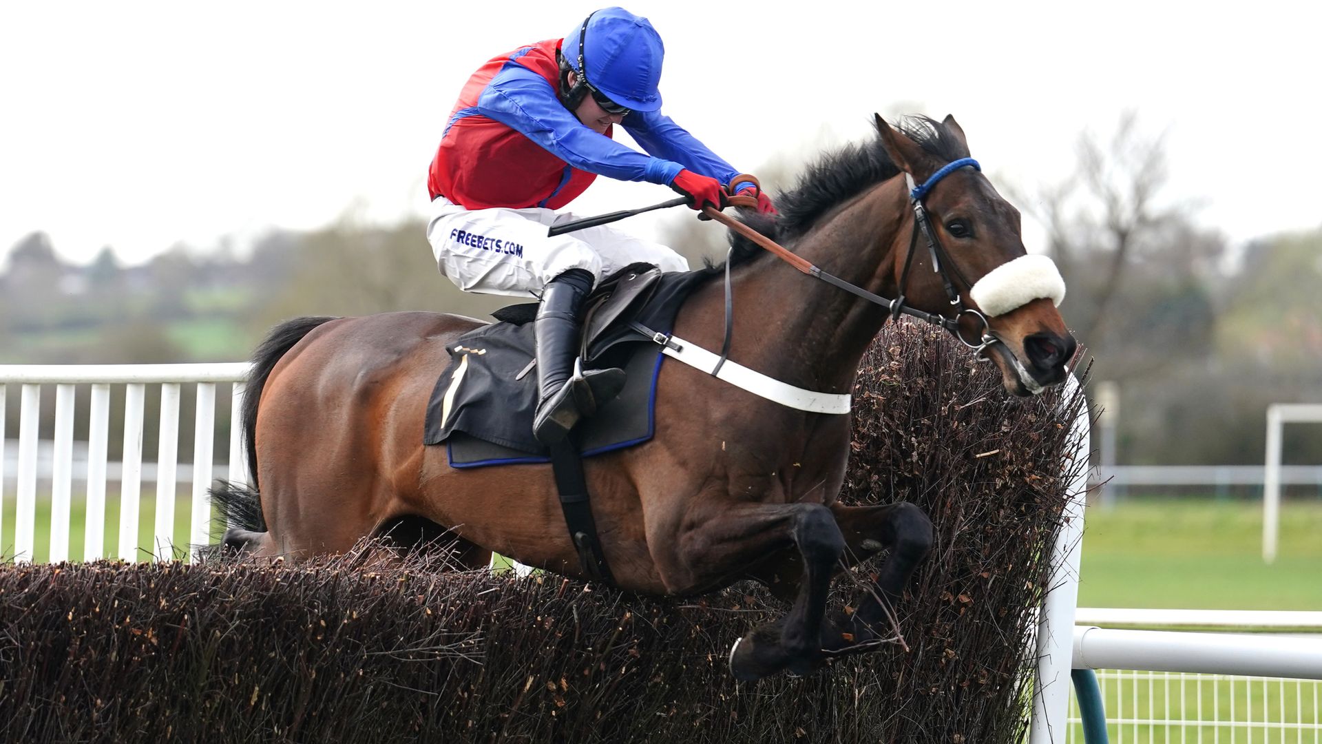 Today on Sky Sports Racing: Jumps action from Sedgefield