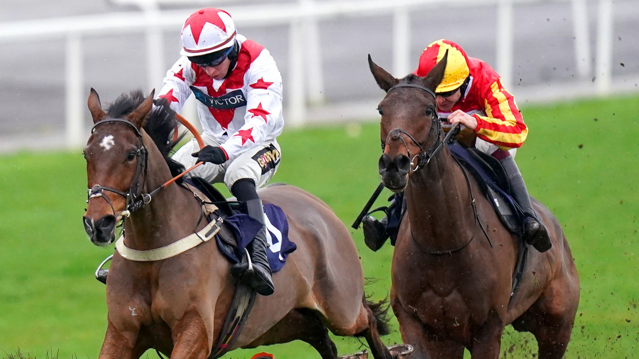 Today on Sky Sports Racing Hereford and Lingfield jumps action ahead