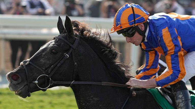 Ryan Moore rides Auguste Rodin to win the Breeders' Cup Turf 