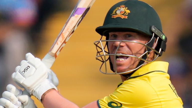 Australia&#39;s David Warner (Associated Press)