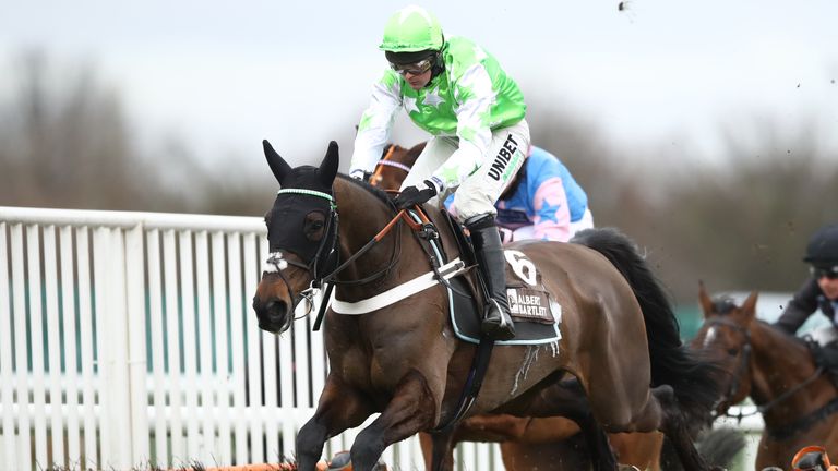Emir Sacree and jockey Nico de Boinville in action over hurdles