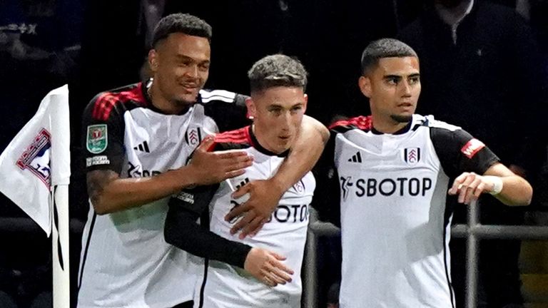 Fulham's Harry Wilson (second from left) celebrates with team-mates after scoring