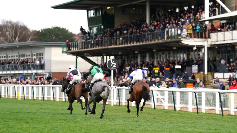Hermino AA (purple and black) on course to victory at Warwick