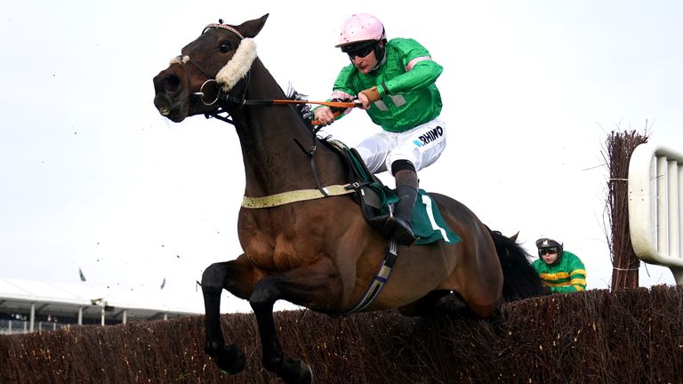 Homme Public jumps to the lead in the Arkle Trial at Cheltenham