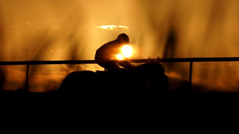 Horse racing silhouette general picture - generic