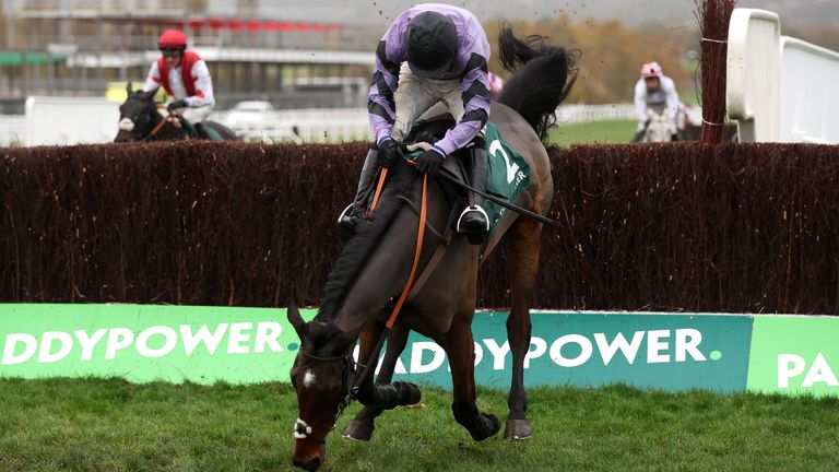 Stage Star blunders at the last in the Paddy Power Gold Cup