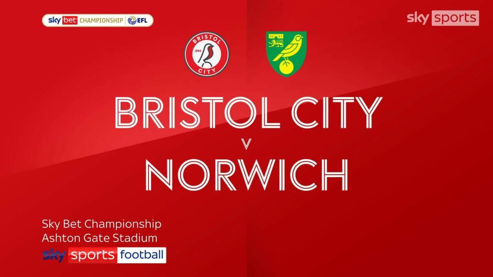 Bristol C 1 - 2 Norwich - Match Report & Highlights